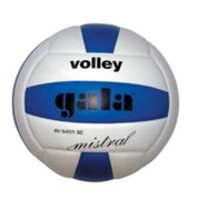 Мяч волейбольный Gala Mistral №5